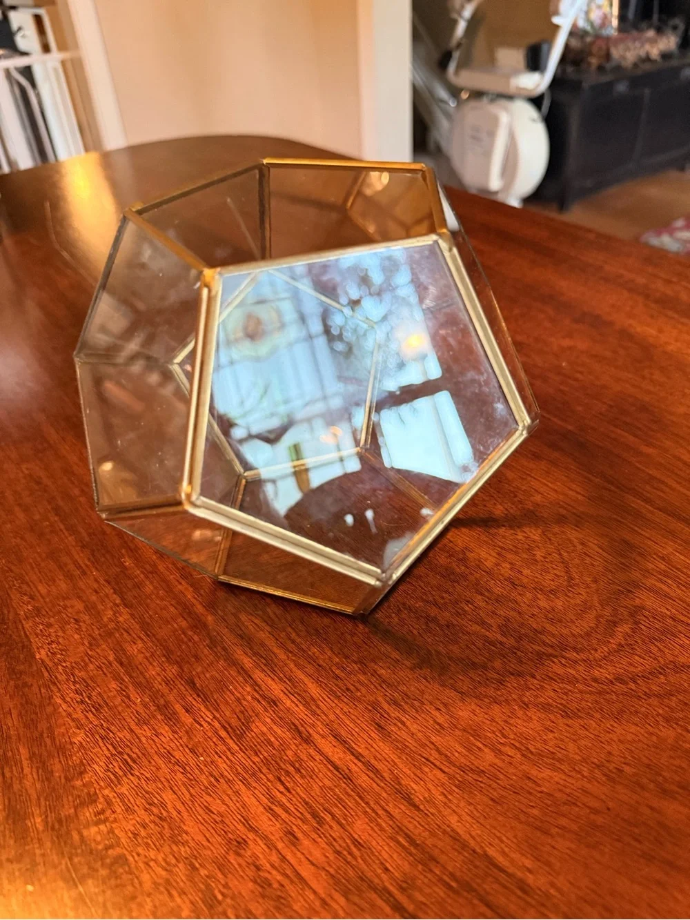 Glass Geometric Terrarium with Brass Trim - Clear